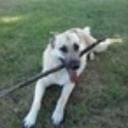 Ed Crane - @EdCrane77 - Twitter