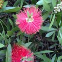 Ellen Windham - @windi89 - Twitter