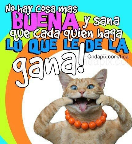 Para compartir todo lo MAMEY que tenemos todos!!!!