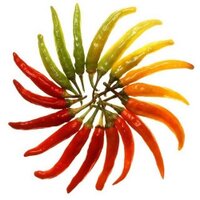 A Spicy Quest (@spicyquest) 's Twitter Profile