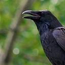 Eric Montague - @eric_montag - Twitter