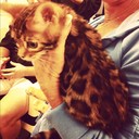 Andrew Darin - @AndrewDarin825 - Twitter