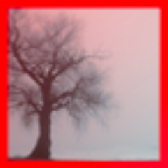 goesoutlast's profile picture. fannish/hockey version of @v_greyson. unlocked for now. always happy to meet fellow fans, pls say hi!