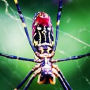 Lewis Erwin - @LewisErwin511 - Twitter