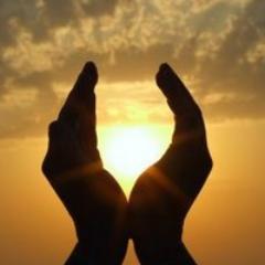 PointedApt's profile picture. Terse cynical autistic
 hermit spoonie blah blah blah #nerdland