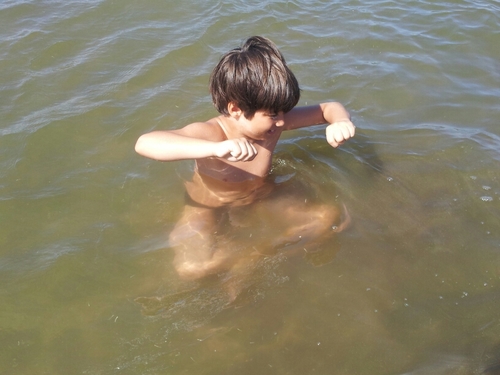 marawalygermy's profile picture. Profesora de materias Tecnológicas con 17 años de antigüedad. en tramite jubilatorio desde hace mas de 9 años.
Analista en Sistemas, Técnico sup en programación