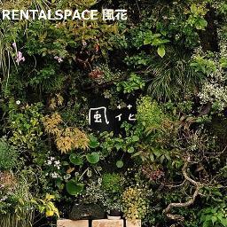 南青山の一角にある、緑にかこまれたレンタルスペース。
たくさんの植物たちから、息づかいを感じる特別な空間。カウンセリング、ヒーリング、ネイルアートやお料理教室etc...様々な目的でのご利用が可能です。