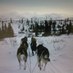 Blair Albright (@sleddogwannabe) Twitter profile photo