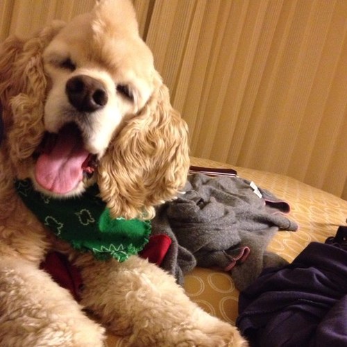 s2images's profile picture. 