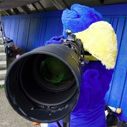 TBirdPhotos's profile picture. Your source for all UBC Thunderbirds Athletics photography. We have an extensive collection of your favorite current and past athlete.