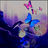 3n00od's profile image
