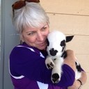 kathleen chartier - @ChartierKa - Twitter