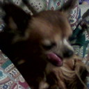 ed hamilton - @edhamilton2 - Twitter