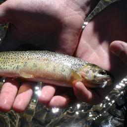 Love fishing and the outdoors.