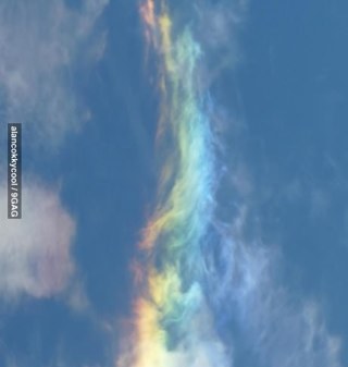 oracleof_delphi's profile picture. Virgin young women from Greek Mithology that can respond to any cuestion