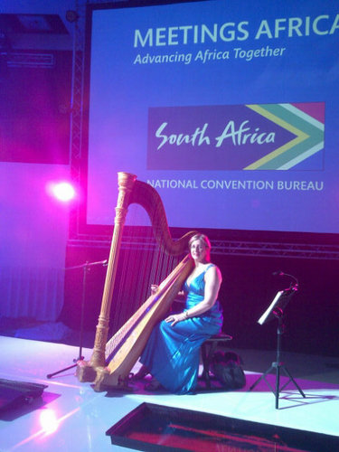 AVONDALE HARP WORLD is the only HARP store in South Africa and we can help to fulfil your harp dreams