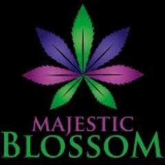 MajestikBlossom's profile picture. (323) 842-7702 In strict compliance w/ Cali’s H&S Codes 11362.5(A), 11362.7, 11362.765 (a) (b), 11362.77 (a) (b) (f), Prop 215 & SB 420. 
4711 Oakwood Ave #200
