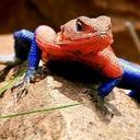 alison alston - @jade82elizabeth - Twitter