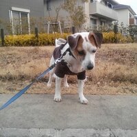 らいとママ (@lightjrt) Twitter profile photo