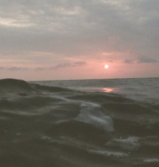 dania__rs's profile picture. Learn from yesterday, live for today, hope for tomorrow.