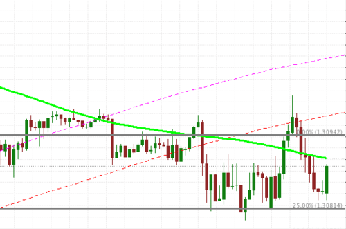 1ForexStrategy's profile picture. 