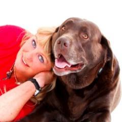 Love my Chocolate Labs. Own Secluded 4 Bed 3.5 bath Florida Vacation Villa.South pool, 81 jet hot tub. See More at https://t.co/CRc2rEMlmu