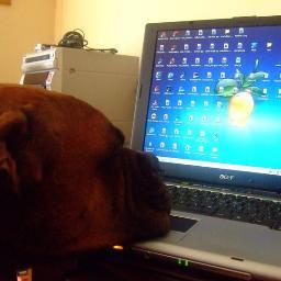 101fdcomunicar's profile picture. El #blog comunicativo de una #periodista