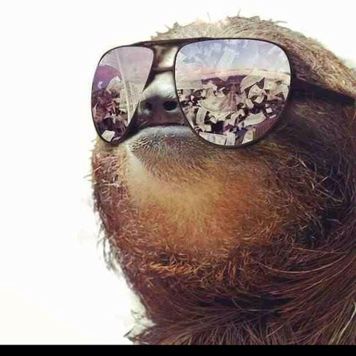 hungryherald's profile picture. Irish / Gamer / Streamer :)