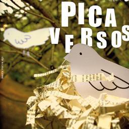 picaversos's profile picture. Ciclo de lecturas poéticas coordinado por Olalla Cociña e Branca Novoneyra que se celebra algúns martes no Modus Vivendi ás 21.00 h.