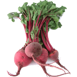 elbetao2013's profile picture. 