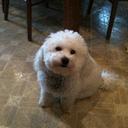 Jim Spath - @jimspath - Twitter