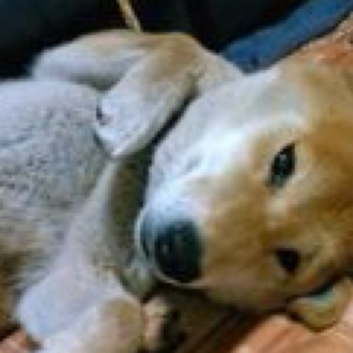 Hello:) I’m typical Japanese mother of 4 love to chatting in English