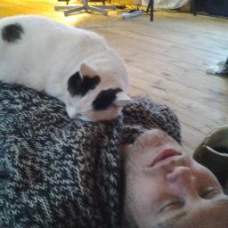 Nap with my cat on a Sunday, be creative with life the rest of the week. 6 out of 7, not bad! Create music loops for websites & audio for animations. ♥