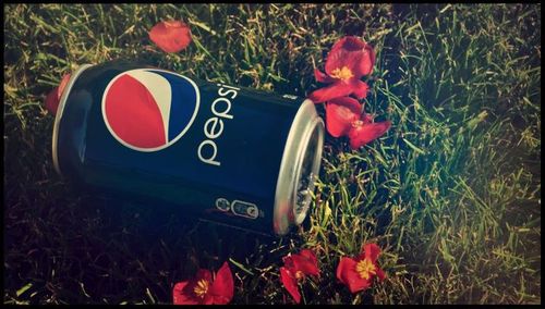 رَبِّ ابْنِ لِي عِنْدَكَ بَيْتًا فِي الْجَنَّةِ ♥