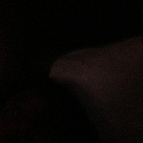 ProfBeliever's profile picture. 