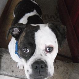 AvonBlake1's profile picture. 