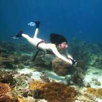 Archon Diving Light (@archonlight) 's Twitter Profile
