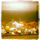 Mary Trout - @MaryTroutb91sZ - Twitter