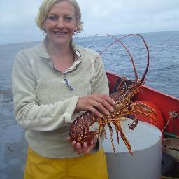 Marine biologist who loves the sea - being on it, in it and looking at it