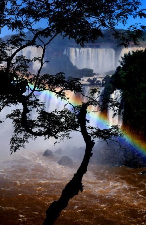 asmatour's profile picture. Образование за рубежом