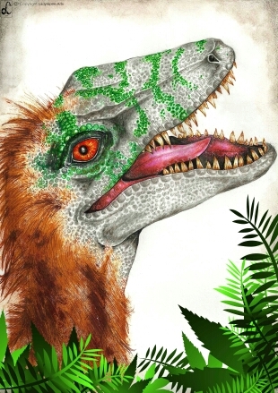 An artist, working in the North East, England (illustration, wall art, t-shirt designs) Loves reptiles too