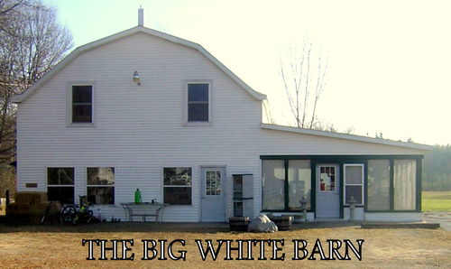 AUCTIONGUYZ's profile picture. 