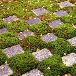 studylog_marble's profile picture. @marble3d の学習記録用アカウントです。 日別 http://t.co/tGUGToIwIK