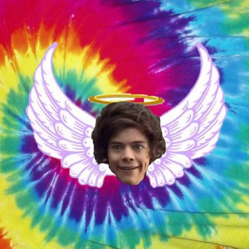 harryanity religion: the belief in, a worship of, a dedication to harry styles aka god
instagram: @harryanity