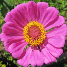 nathaliesion1's profile picture. 