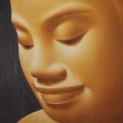 Opinionated liberal buddhist