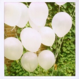 cocosmadblog's profile picture. Writing a book - Something About a Girl, My Bipolar Life - to be published on my blog Something About Coco. Support & share x