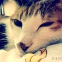 Carol Kong - @littlebobolo - Twitter