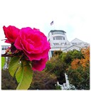 Virginia Riley - @VirginiaJs57p - Twitter