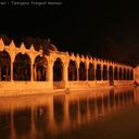 Sami Kaya - @samikaya63 - Twitter